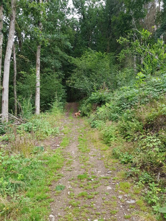 La Petite Romantique Martelange Eksteriør bilde